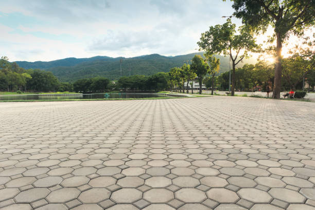 Best Driveway Pavers Contractor  in Albers, IL